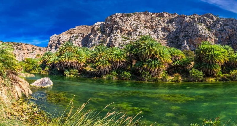 From Rethymno/Chania: Day Trip to Preveli Palm Beach - Why Preveli Palm Beach feels like a place you remember