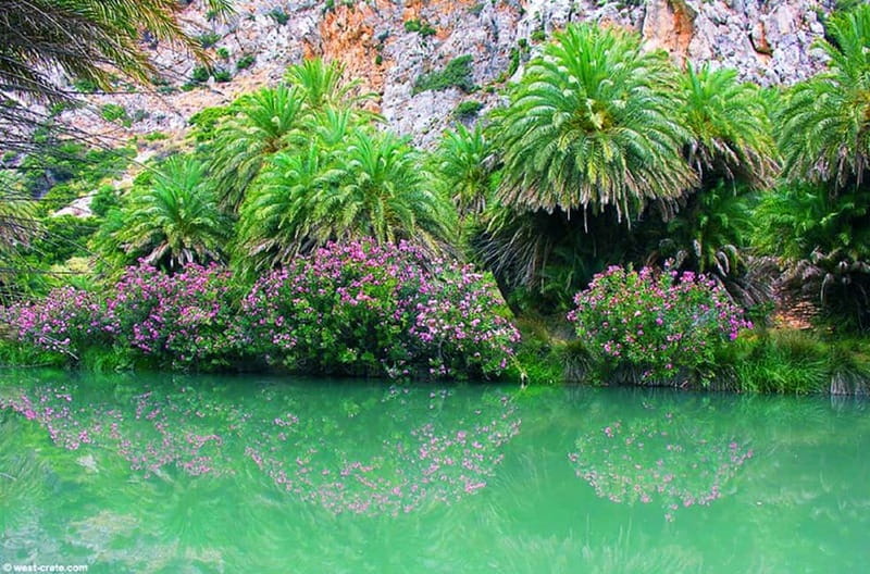From Rethymno/Chania: Day Trip to Preveli Palm Beach - Cost and value: what you really pay for besides the $9.54
