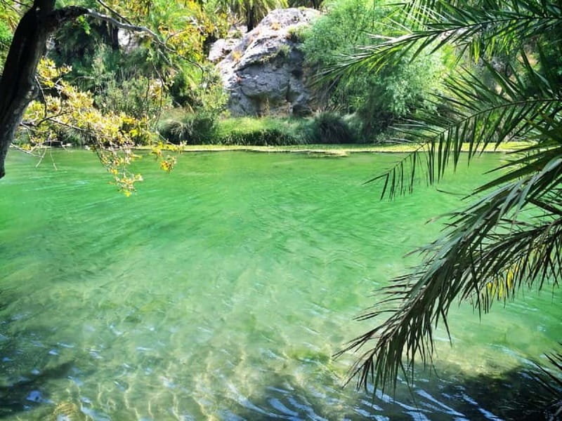 From Rethymno/Chania: Day Trip to Preveli Palm Beach - The guides make it better, and names matter