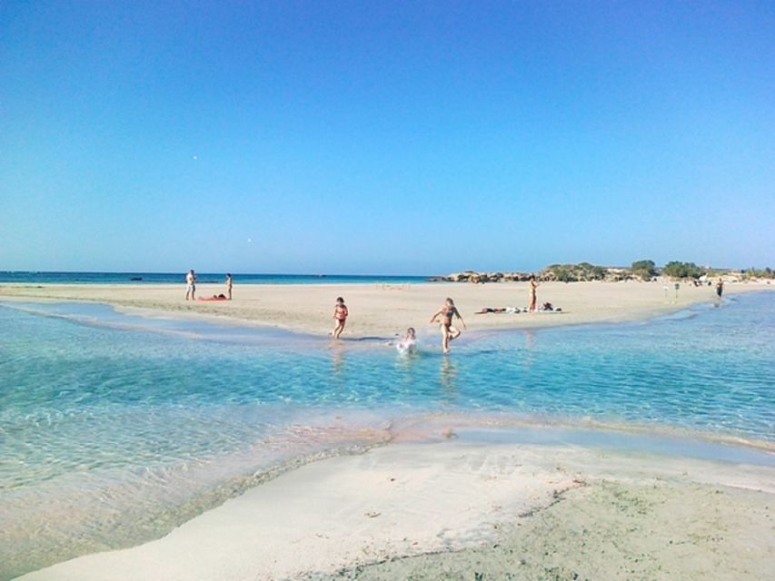 From Rethymno & Chania: Elafonisi Island Day Tour by Bus - Should you book Elafonissi by bus from Chania?