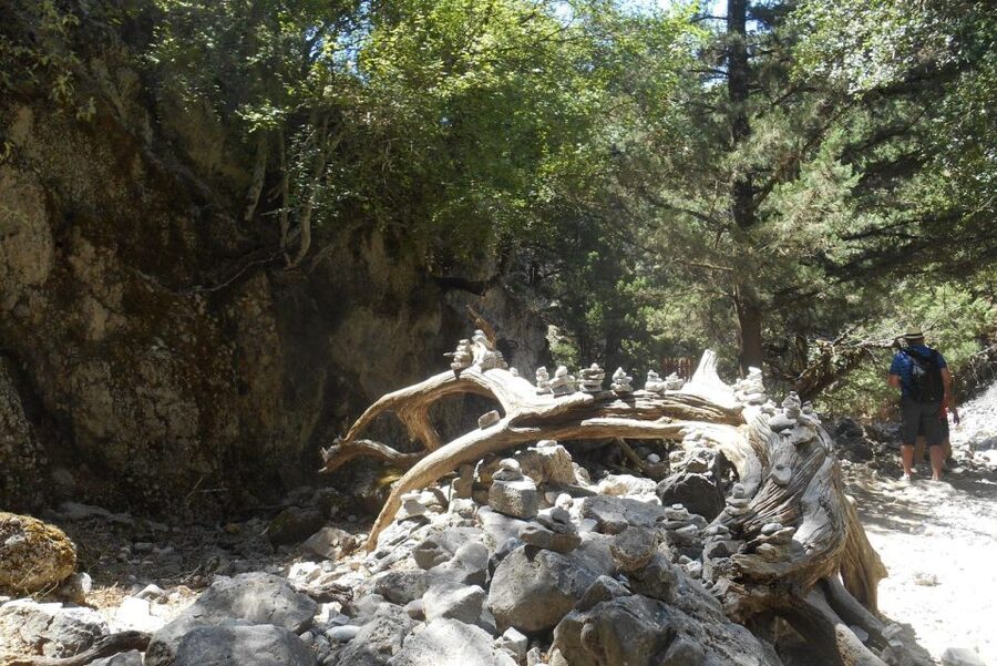From Rethymno/Chania: Imbros Gorge Hike - Key highlights to know before you go