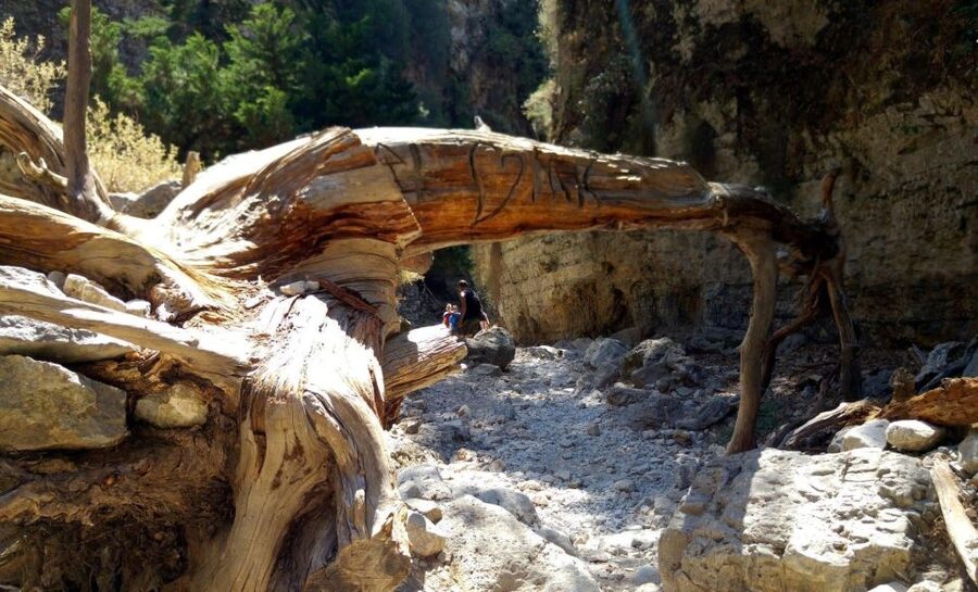 From Rethymno/Chania: Imbros Gorge Hike - The guides and group vibe: what you’ll feel on the day