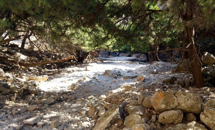 From Rethymno/Chania: Imbros Gorge Hike - Pickup from Rethymno or Chania, then into the White Mountains