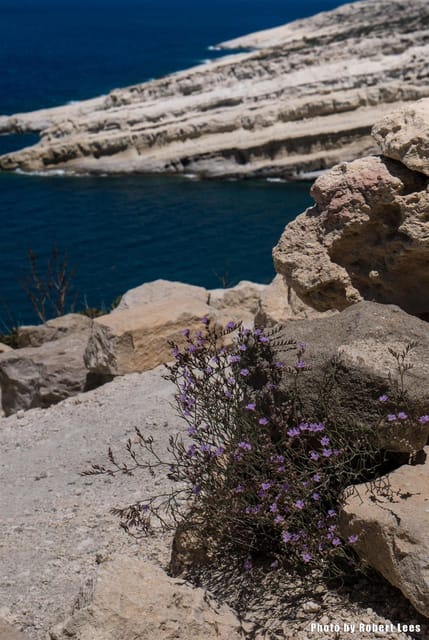 From Rethymno: Day trip to MATALA - AG.GALINI - SPILI - Key highlights to know before you go