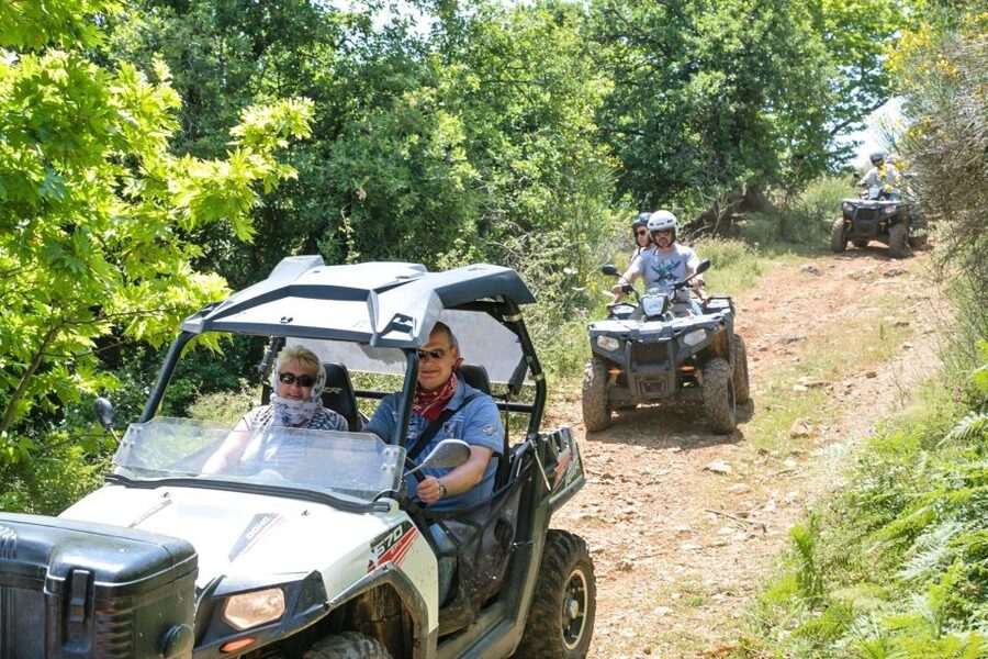 From Rethymno: Half-Day Off-Road Buggy Safari - Price and value: what you get for around $100 per person