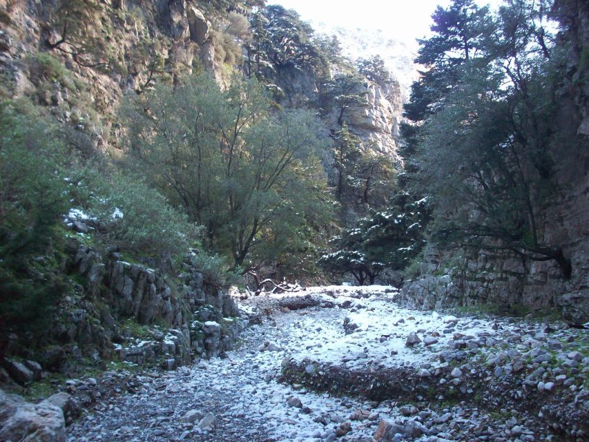 From Rethymno: Imbros Gorge & Libyan Guided Sea Tour - Why Imbros Gorge Delivers More Than a Typical “Hike and Then Bus” Day