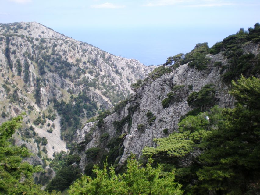 From Rethymno: Imbros Gorge & Libyan Guided Sea Tour - The Guide Factor: Clear Instructions Make a Big Difference