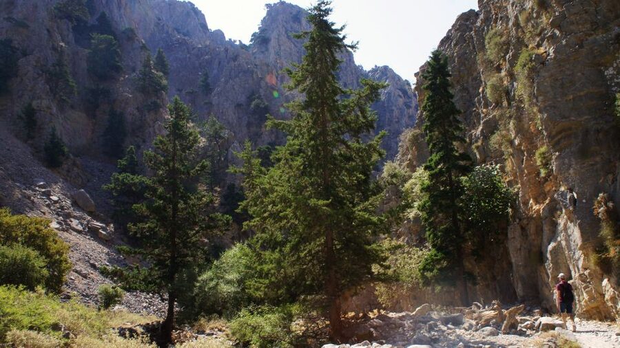 From Rethymno: Imbros Gorge & Libyan Guided Sea Tour - The Komitades Village Stop and the Transfer to Chora Sfakion
