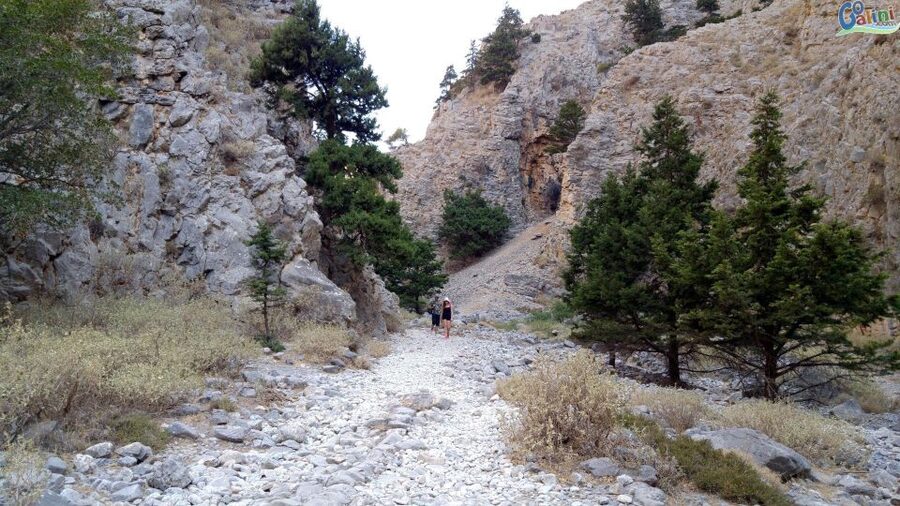 From Rethymno: Imbros Gorge & Libyan Guided Sea Tour - Lunch on the South Coast: How to Plan Your Food