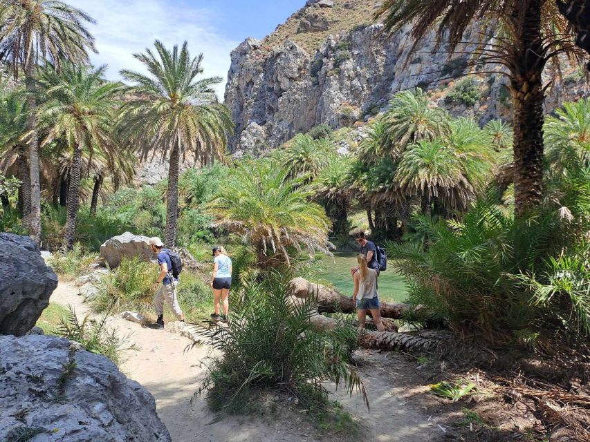 From Rethymno: Kourtaliotiko, Preveli Palm Beach, & Damnoni - Value check: what’s included, what costs extra, and what you’re really buying