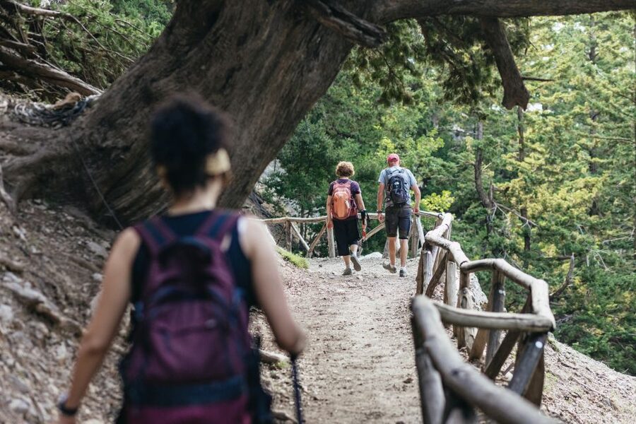 From Rethymno: Samaria Gorge Full-Day Trek, Pickup & Guide - Water stops, bathrooms, and the no-phone reality