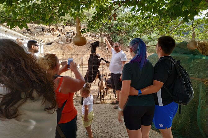 Full-Day Jeep Safari Tour with Cooking Lesson - Aposelemis Dam and Sfendili: When Water Changes the Map