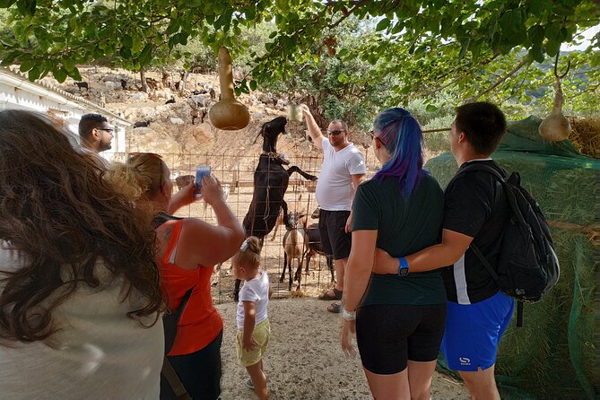 Full-Day Small-Group Tour in Crete with Zeus Cave Visit - A 4WD countryside day that mixes views, farms, and real meals