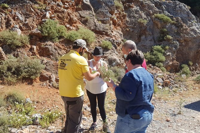 Full-Day Small-Group Tour in Crete with Zeus Cave Visit - Dikteon Cave of Zeus: ticket, closure risk, and how to stay flexible