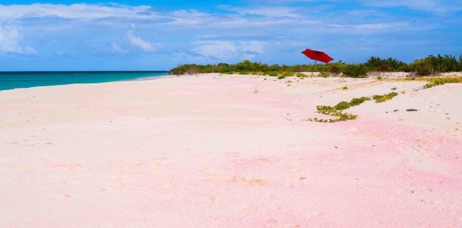 Georgioupolis Area: Full-Day Bus Trip to Elafonisi Island - Elafonisi Pink Sand: the Big Reason You Go