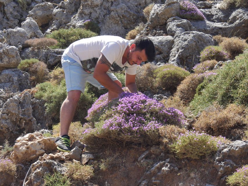 Georgioupolis Full-Day Land Rover Safari Experience - From Pickup to Lake Kournas: Your Day Starts on the Right Road