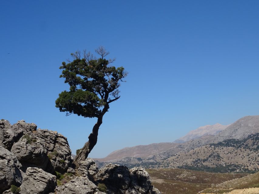 Georgioupolis Full-Day Land Rover Safari Experience - Should You Book This 8-Hour Safari in Crete?