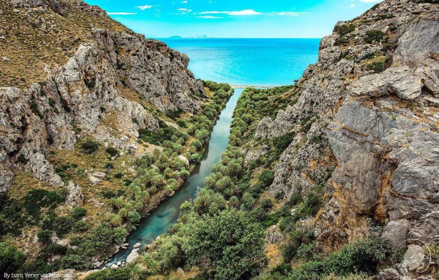 Georgioupolis: Preveli Palm Beach Day Trip by Bus and Boat - Preveli Palm Beach: palms, riverside views, and how to use your two hours well