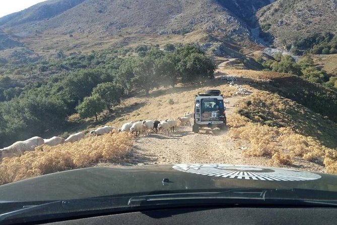 Georgioupolis Safari Off Road Tours Outdoor Activities Land Rover Defender - Stop 4: White Mountains (Lefka Ori) at 1,200 Meters, Vultures Overhead