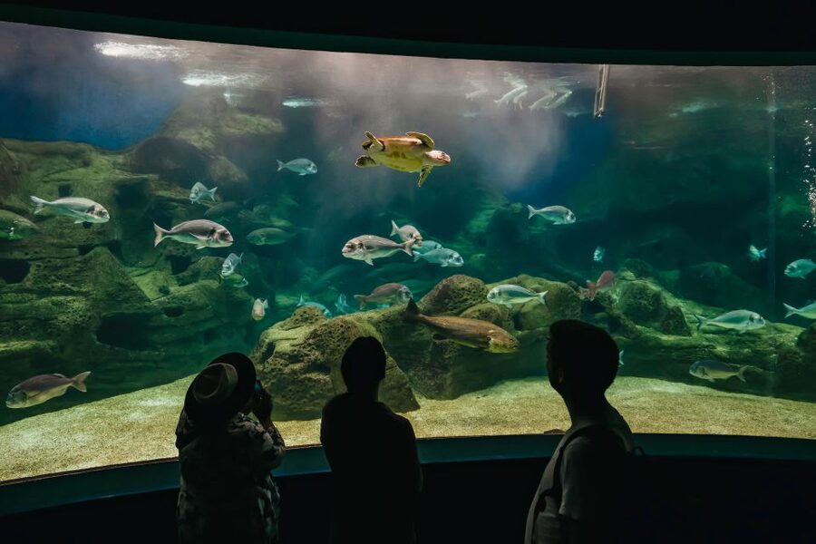 Heraklion Area: CRETAquarium Admission Ticket - Key things I’d mark on your map before you go