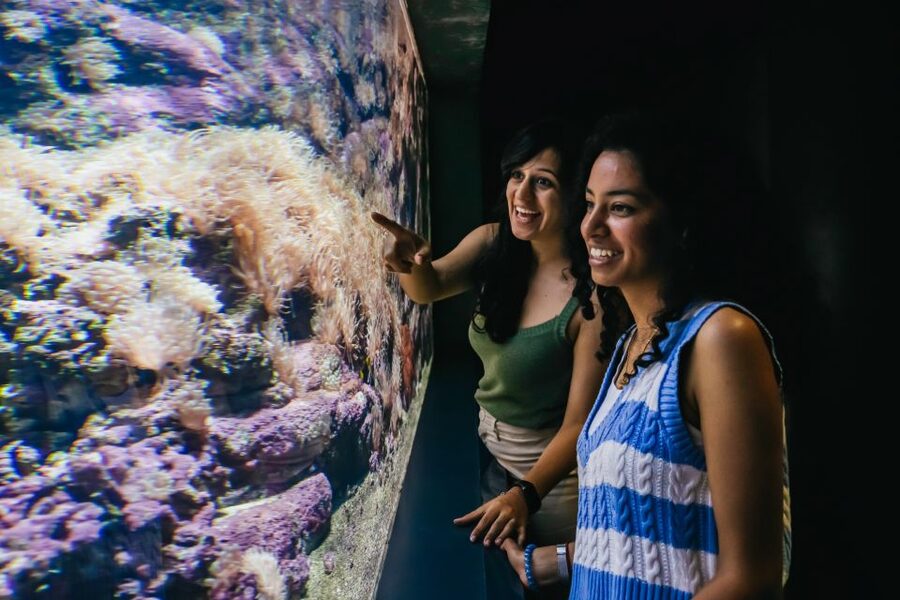 Heraklion Area: CRETAquarium Admission Ticket - Mediterranean caves and crevices: where you first spot the right mood