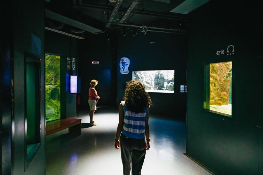 Heraklion Area: CRETAquarium Admission Ticket - Open-ocean viewing: sharks and the drama of the feeding setup