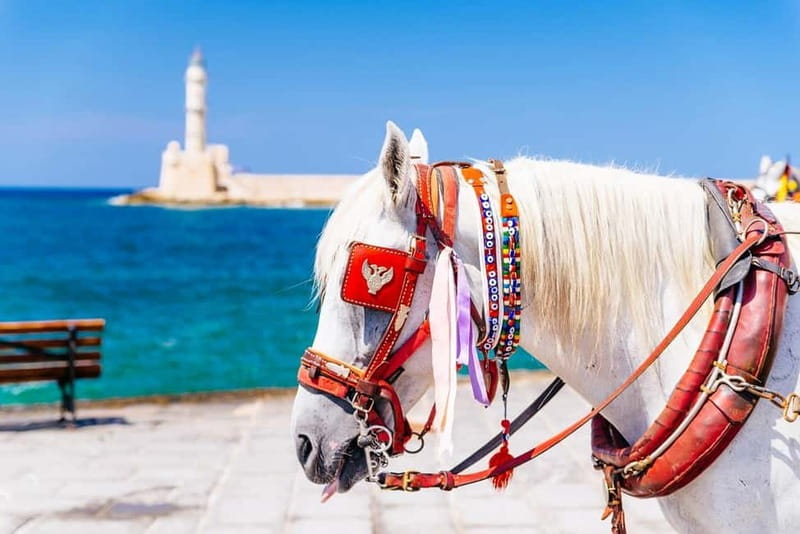 Heraklion Areas:Rethymno,Chania & Lake Kournas Full-Day Tour - Rethymno Historic Center and the Old Port Reset