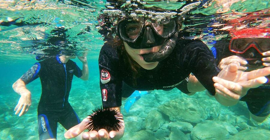 Heraklion: Beginner-Friendly Snorkeling Trip - Key Highlights You’ll Actually Care About