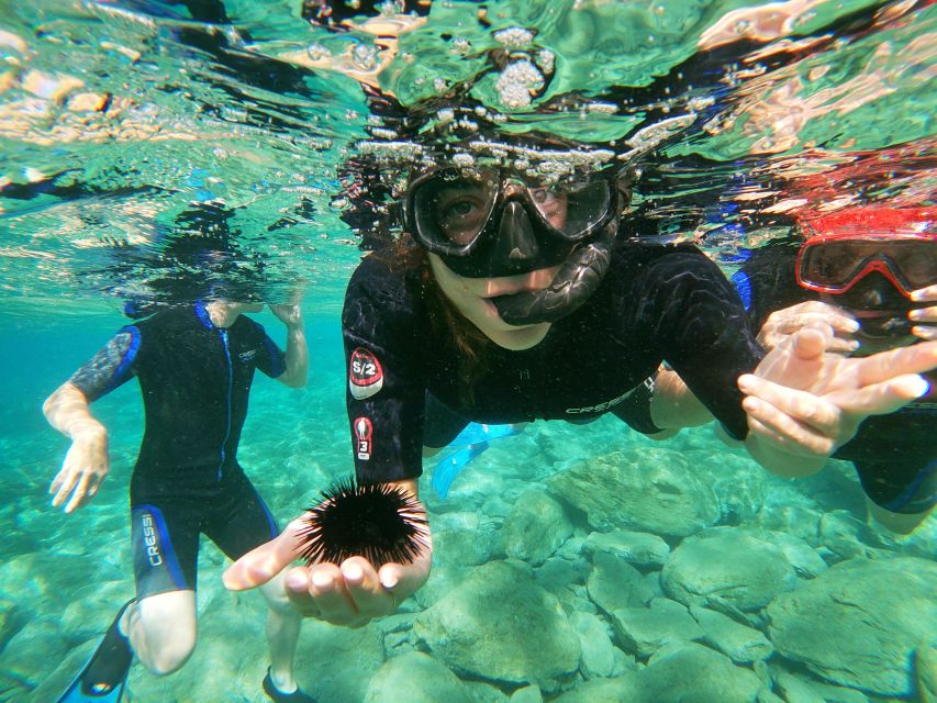 Heraklion: Beginner-Friendly Snorkeling Trip - Small Group Size, Personal Attention, and the Real Benefit of an Instructor