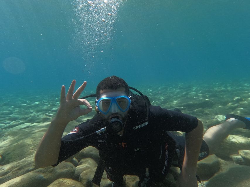 Heraklion: Beginner's intro dive w/2 Dives with transfer. - Key takeaways