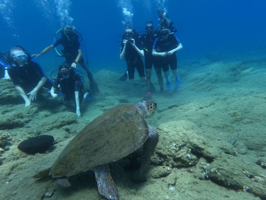 Heraklion: Beginner's intro dive w/2 Dives with transfer. - Beginner SSI Scuba in Agia Pelagia, Two 45-Minute Underwater Sessions