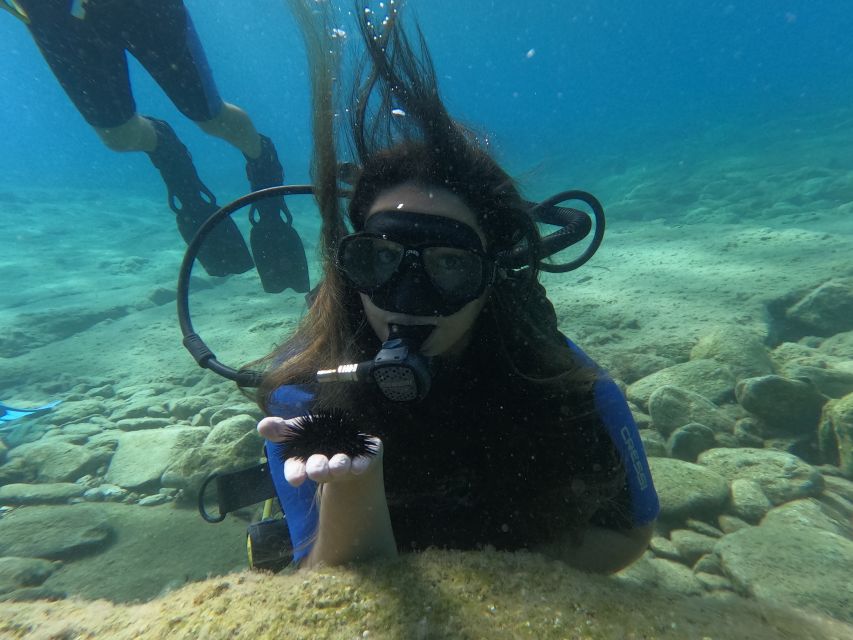 Heraklion: Beginner's intro dive w/2 Dives with transfer. - What You’ll See Underwater in Agia Pelagia