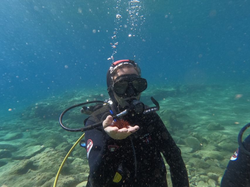Heraklion: Beginner's intro dive w/2 Dives with transfer. - Transfers and Timing: Why Logistics Really Change Your Experience