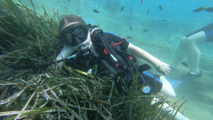 Heraklion: Beginner Scuba Diving Lesson with PADI Instructor - Safety briefing and equipment setup, with real supervision