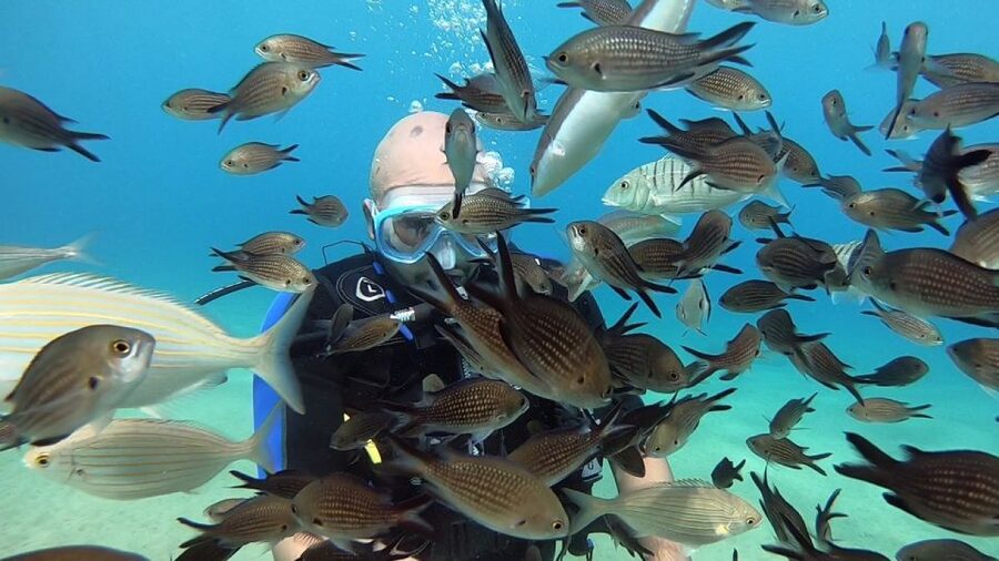 Heraklion: Beginner Scuba Diving Lesson with PADI Instructor - Your shallow open-water session in Agia Pelagia Bay