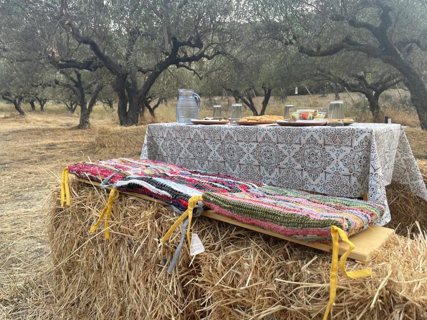 Heraklion: Cretan Farmers Brunch and Olive Grove Tour - The Brunch That Feels Like Lunch: What You Actually Get