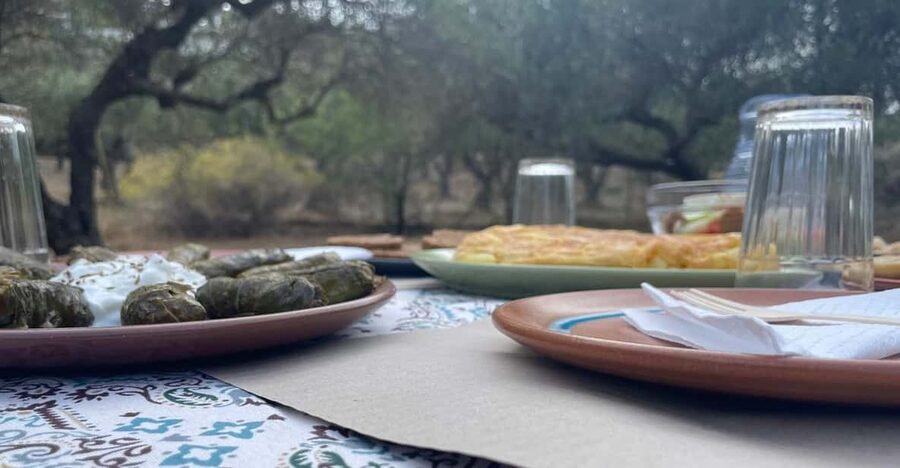 Heraklion: Cretan Farmers Brunch and Olive Grove Tour - Dragon Fruit Tasting from the Farm, When It’s Available