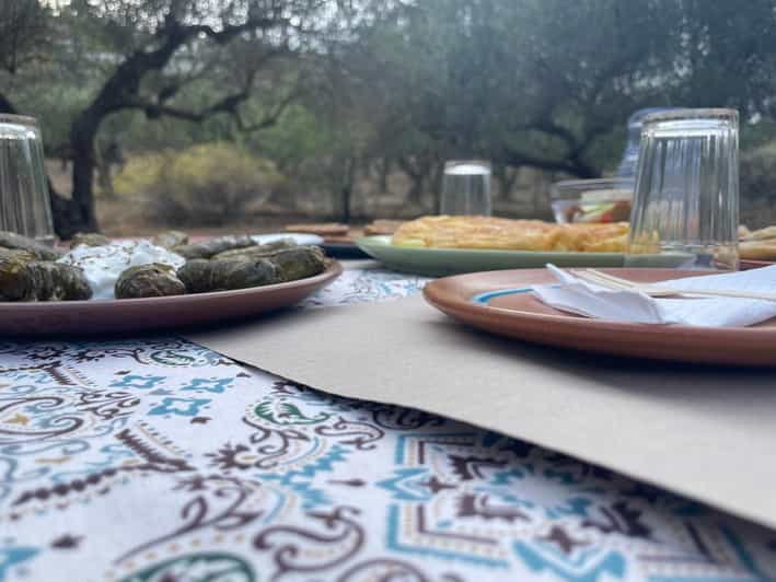 Heraklion: Cretan Farmers Brunch and Olive Grove Tour - The Olive Grove Tour: Learning How Olive Oil Fits the Life of the Farm