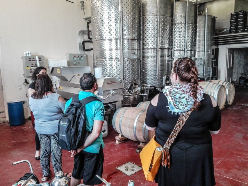 Heraklion: Cretan Wine Tasting Tour & Gourmet Lunch - The 15-wine tasting experience: how the presentation makes it click