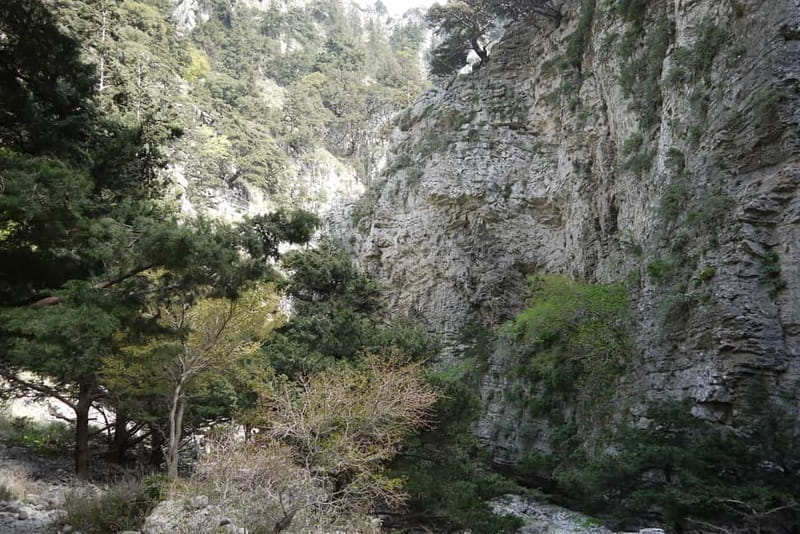 Heraklion Crete: Imbros Gorge Hike - A guide makes the canyon click, not just the rocks