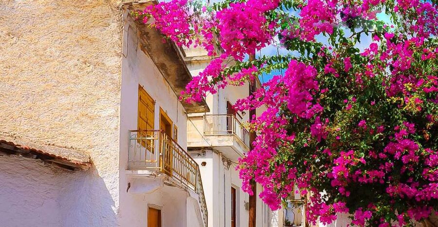 Heraklion: Eastern Crete Highlights Shore Private Tour - Kritsa: narrow streets, traditional architecture, and village context