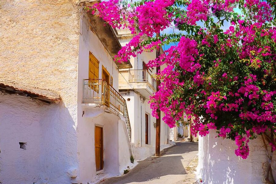 Heraklion: Eastern Crete Highlights Shore Private Tour - How the logistics help you, especially from a cruise port