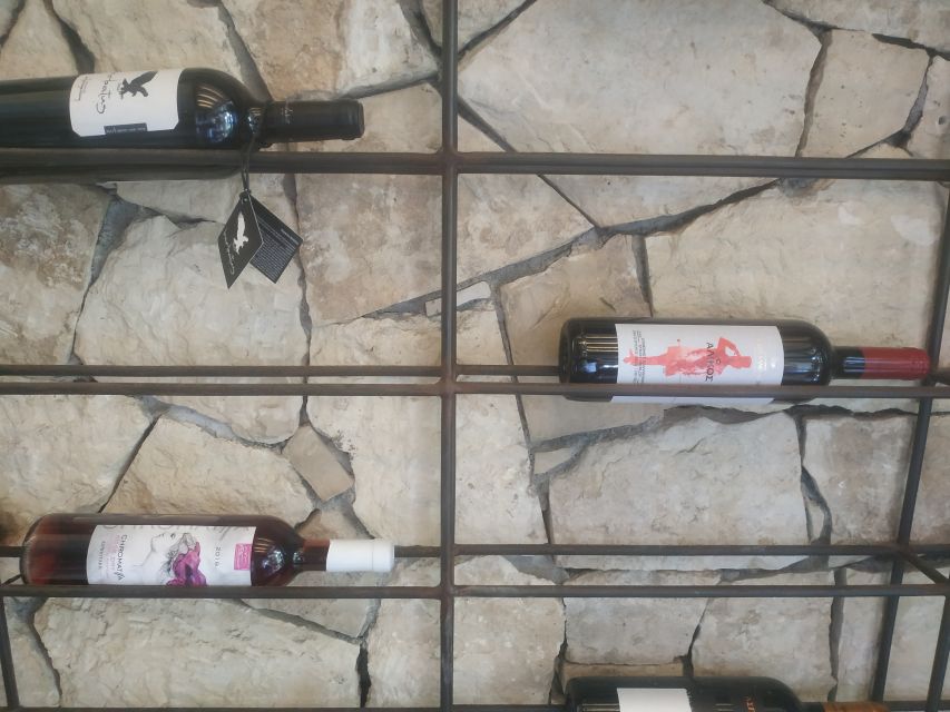 Heraklion: Ecobike Tour with Wine Tasting - Meeting point and starting the ride at ecobikegreece.gr
