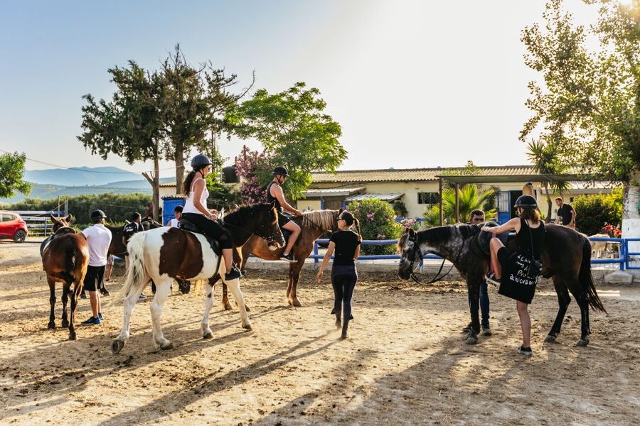Heraklion: Finikia Horse Riding Tour with Lunch or Dinner - Price and Logistics: What $94 Covers (and Where It Can Change)