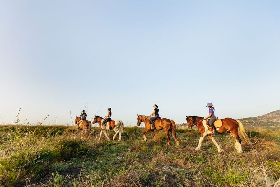 Heraklion: Finikia Horse Riding Tour with Lunch or Dinner - Should You Book Finikia Horse Riding?