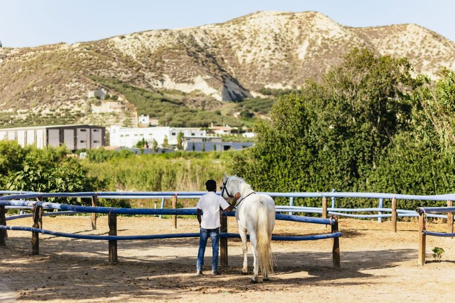 Heraklion: Finikia Horse Riding Tour with Lunch or Dinner - Arrive at Finikia Horseriding: Coffee, Safety Paperwork, Helmets, and the 110 kg Check