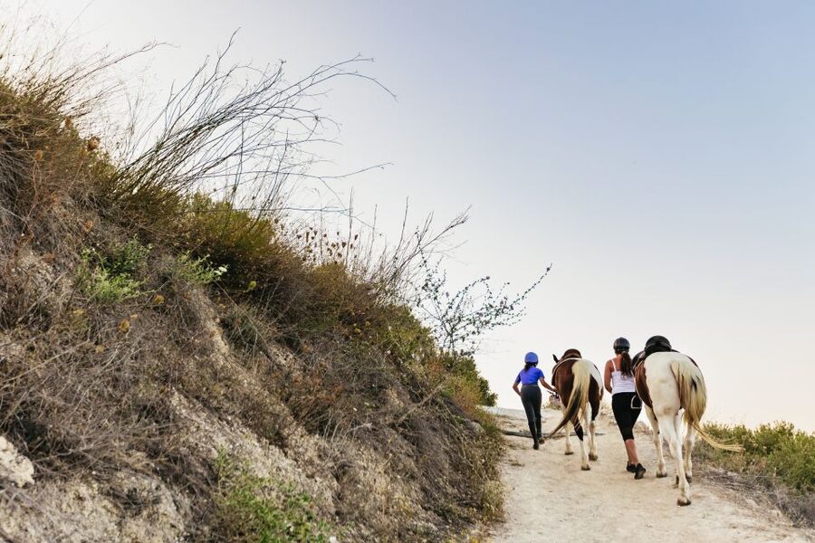 Heraklion: Horse Ride in the Cretan Mountains - Meeting the people and the vibe at the farm