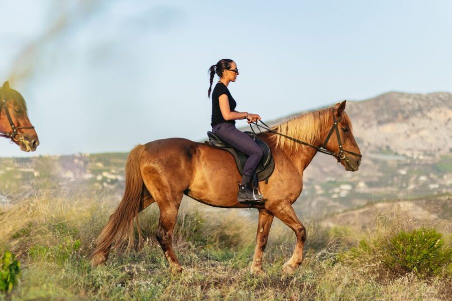 Heraklion: Horse Ride in the Cretan Mountains - What to bring and wear for a comfortable ride