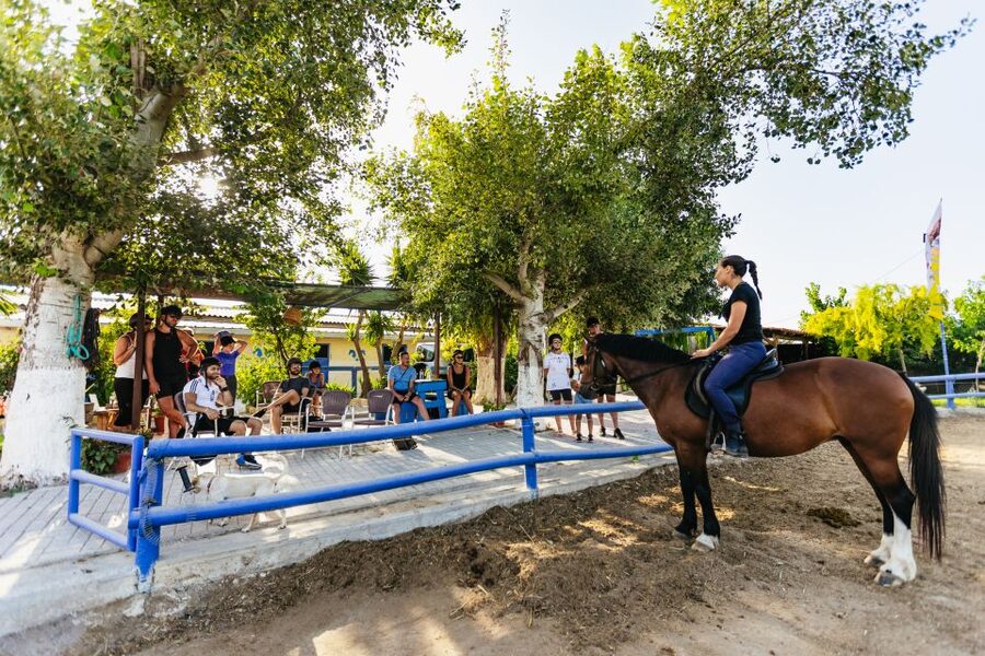 Heraklion: Horse Ride in the Cretan Mountains - The pre-ride training: feeling safe before you head uphill