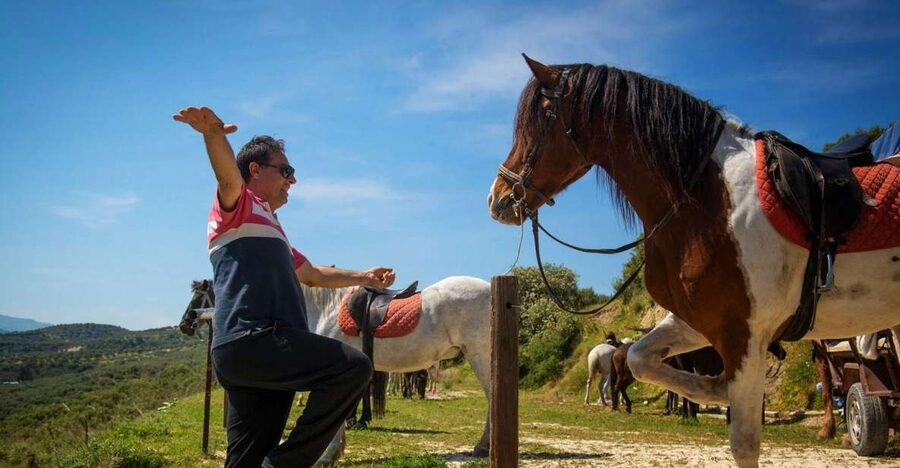 Heraklion: Horseriding Day Tour with Lunch and Transfer - Quick Reasons This Half-Day Horse Tour Works